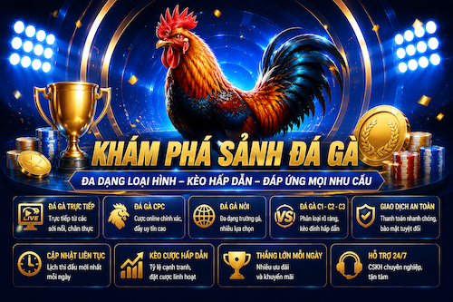Các loại hình đá gà TX88 với nhiều trận đấu trực tuyến và phong cách theo dõi khác nhau